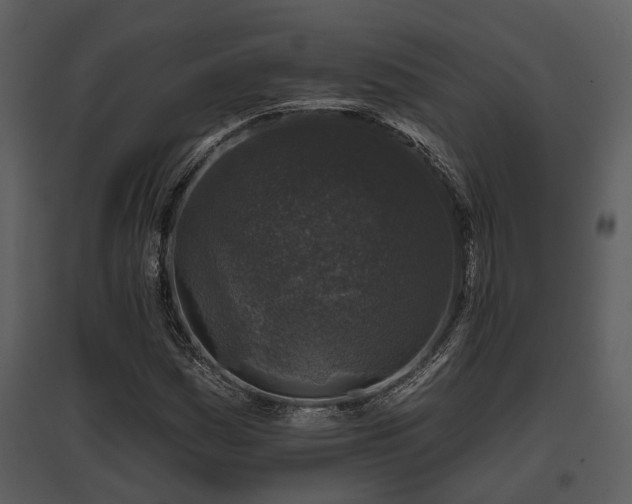 X0000095671161200801151057