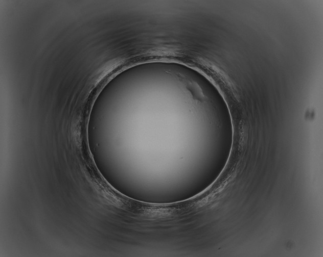 X0000095671162200801151057