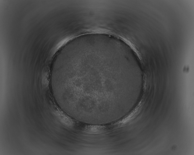 X0000095671163200801151057