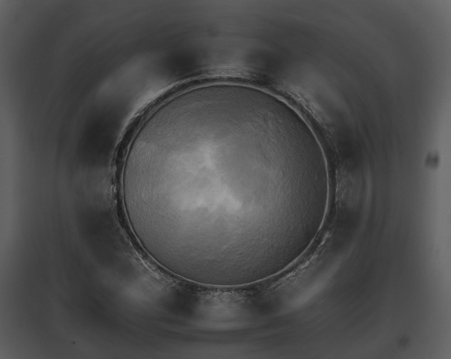 X0000095671164200801151057