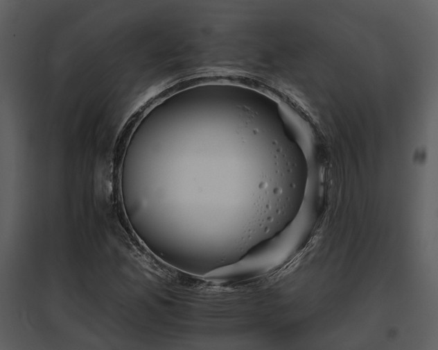 X0000095671165200801151057