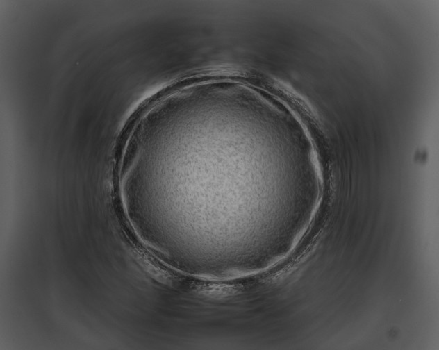 X0000095671166200801151057