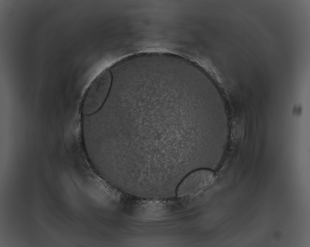 X0000095671167200801151057