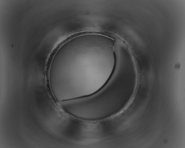 X0000095671168200801151057