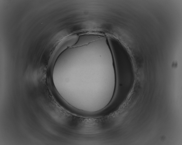 X0000095671169200801151057