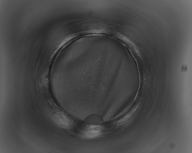 X0000095671170200801151057