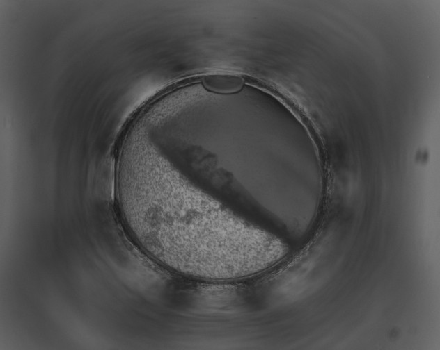 X0000095671171200801151057