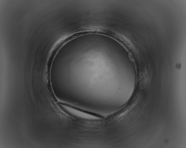 X0000095671172200801151057