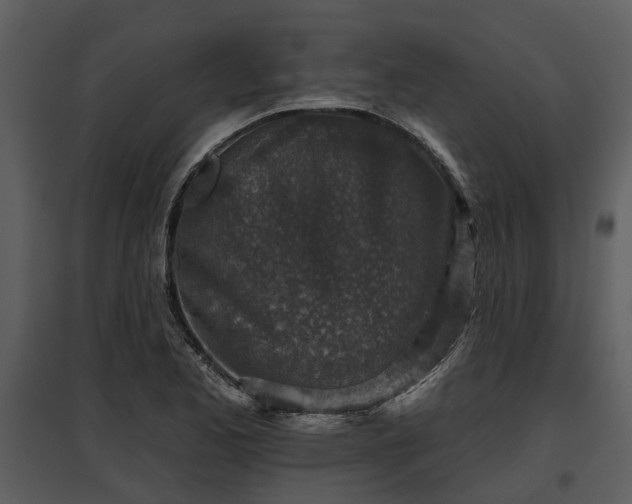 X0000095671173200801151057