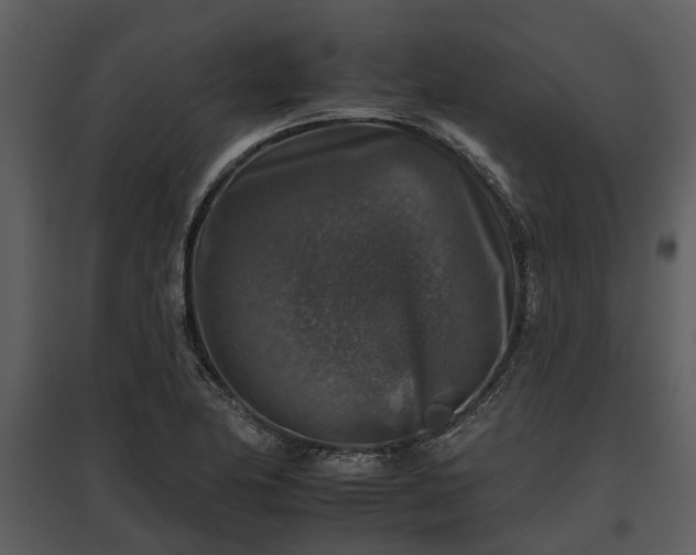 X0000095671174200801151057