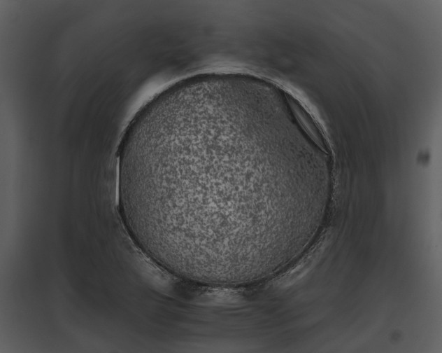 X0000095671175200801151057