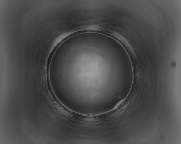 X0000095671176200801151057