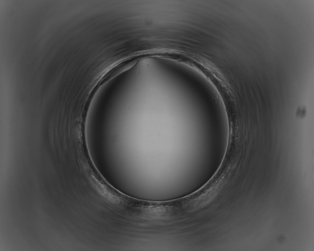 X0000095671177200801151057