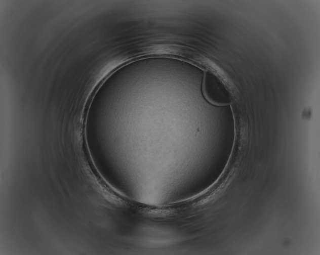 X0000095671178200801151057