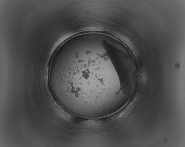 X0000095671179200801151057