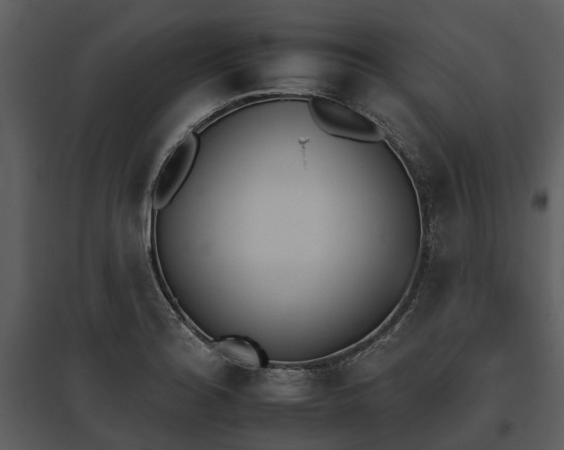 X0000095671180200801151057