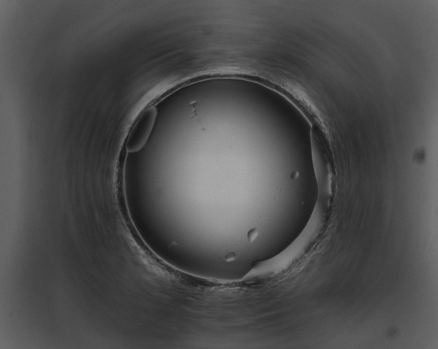 X0000095671181200801151057