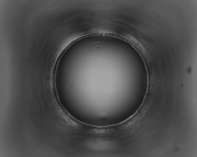 X0000095671182200801151057