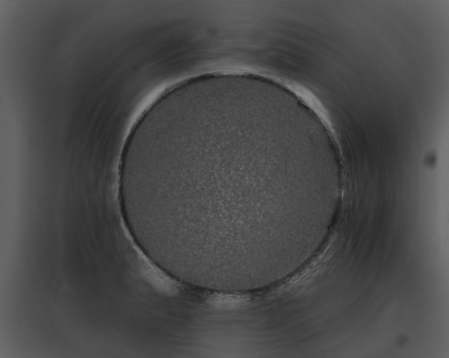 X0000095671183200801151057