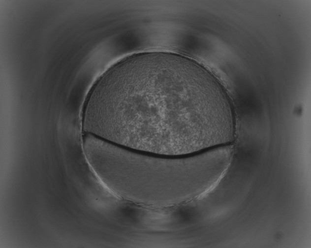 X0000095671184200801151057