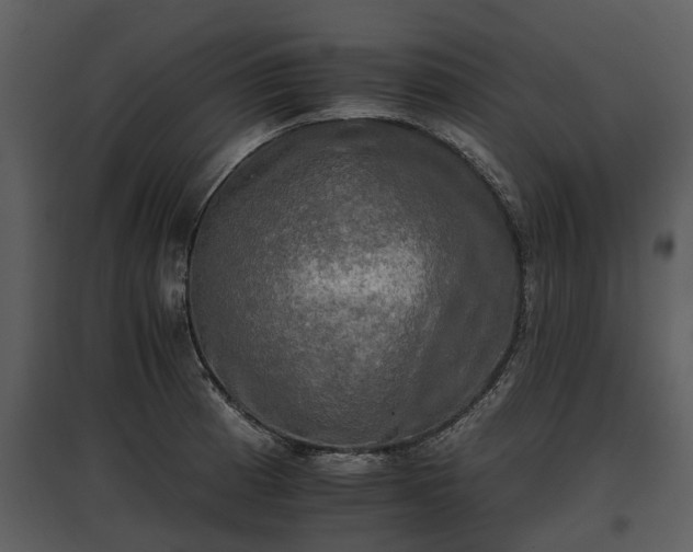 X0000095671185200801151057