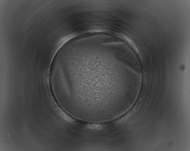 X0000095671186200801151057