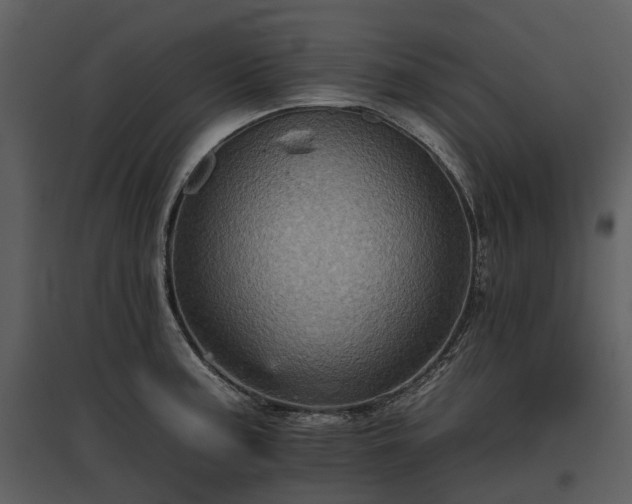 X0000095671187200801151057