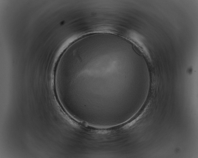 X0000095671188200801151057