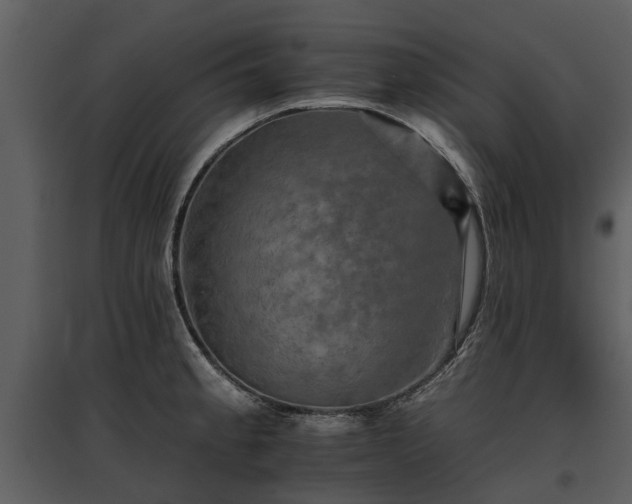 X0000095671189200801151057