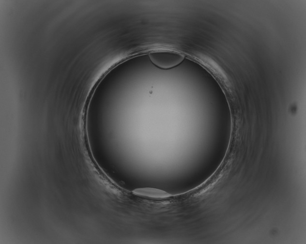 X0000095671190200801151057