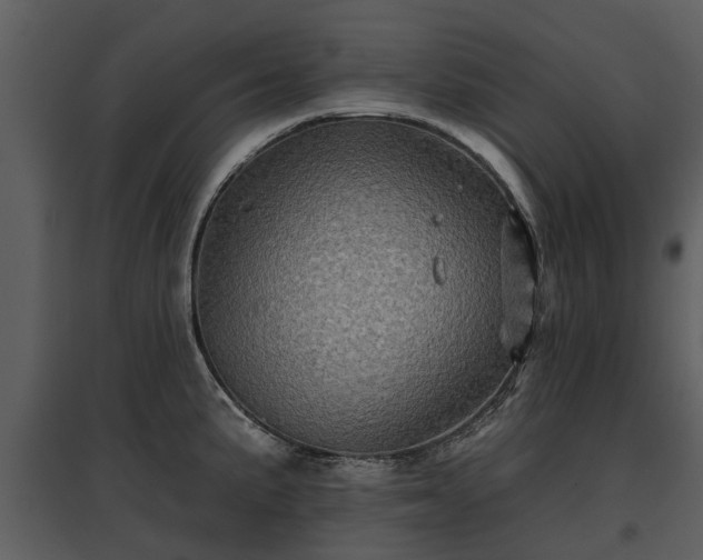 X0000095671191200801151057