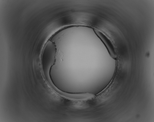 X0000095671192200801151057