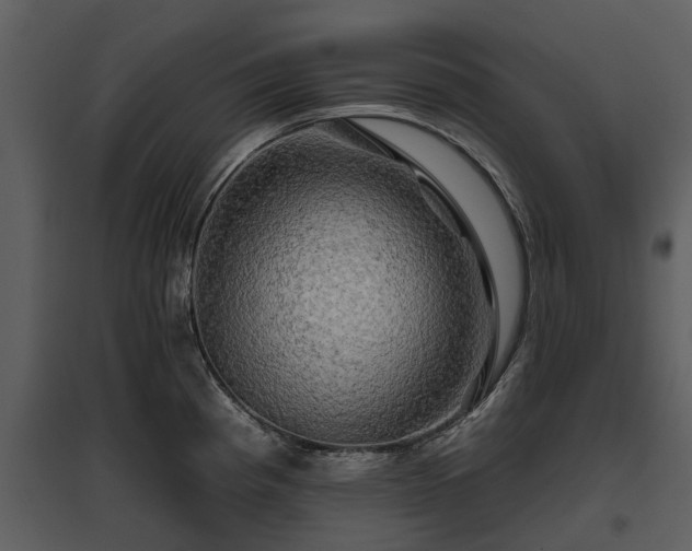 X0000095671193200801151057