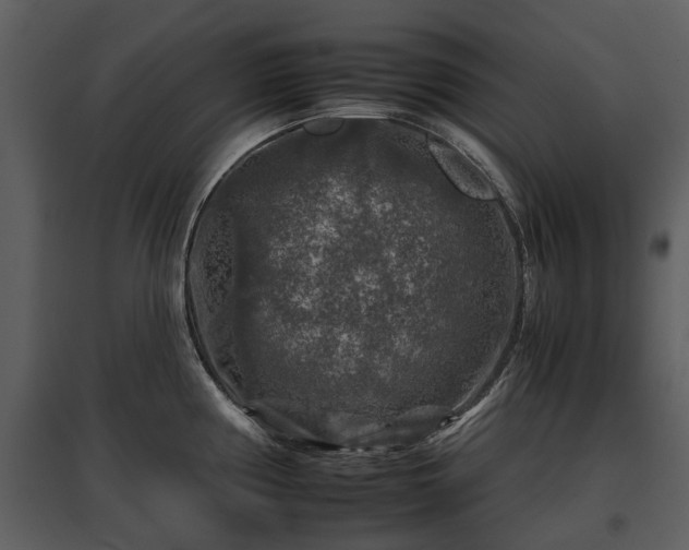 X0000095671194200801151057