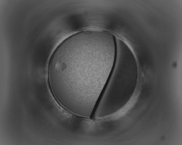 X0000095671195200801151057