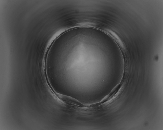 X0000095671196200801151057