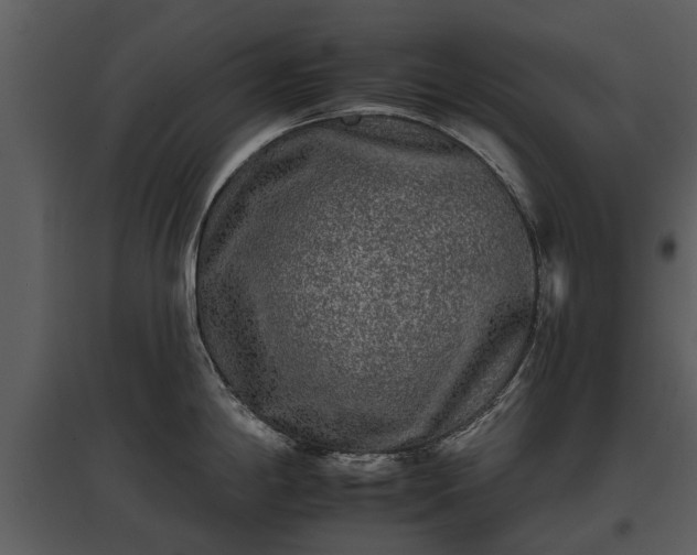 X0000095671198200801151057