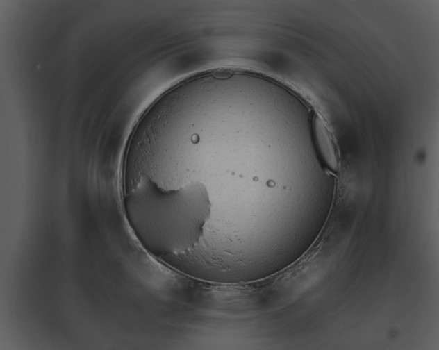 X0000095671199200801151057