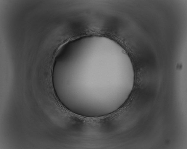 X0000095671201200801151056