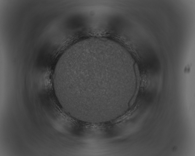 X0000095671202200801151056