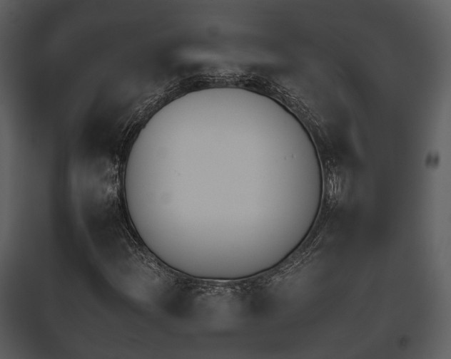 X0000095671204200801151056