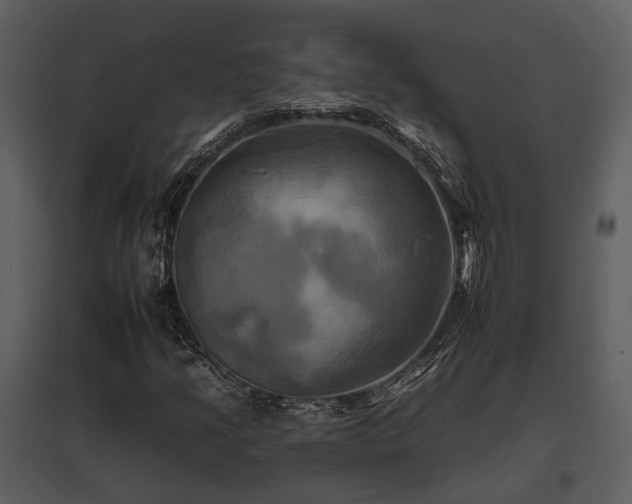 X0000095671205200801151056