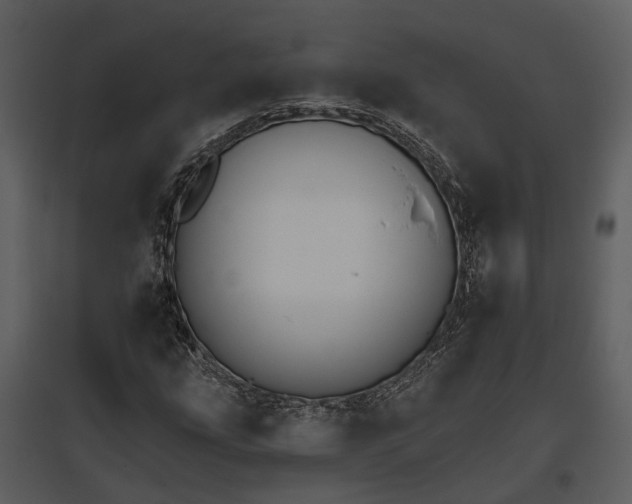 X0000095671207200801151056