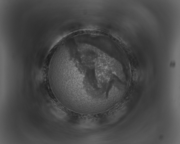 X0000095671208200801151056