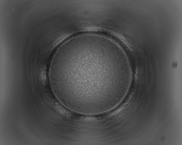 X0000095671209200801151056