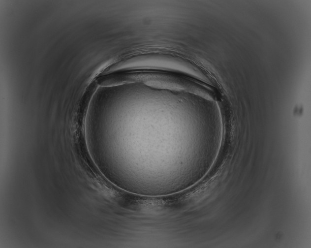 X0000095671210200801151056