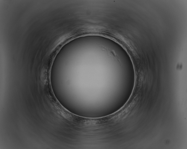 X0000095671211200801151056