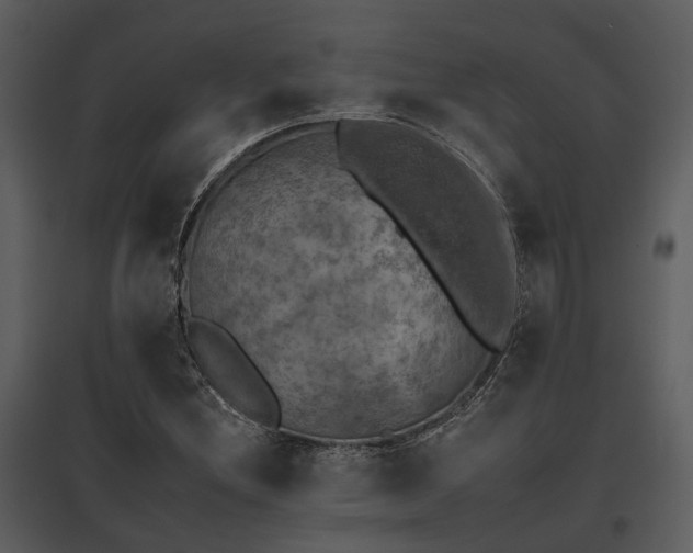 X0000095671212200801151056