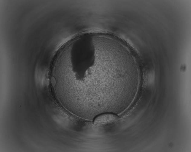 X0000095671213200801151056