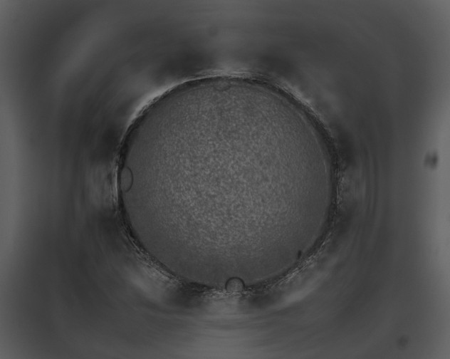 X0000095671214200801151056